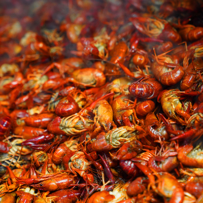 Hot Boiled Crawfish